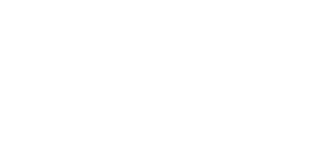 National Disability Institute