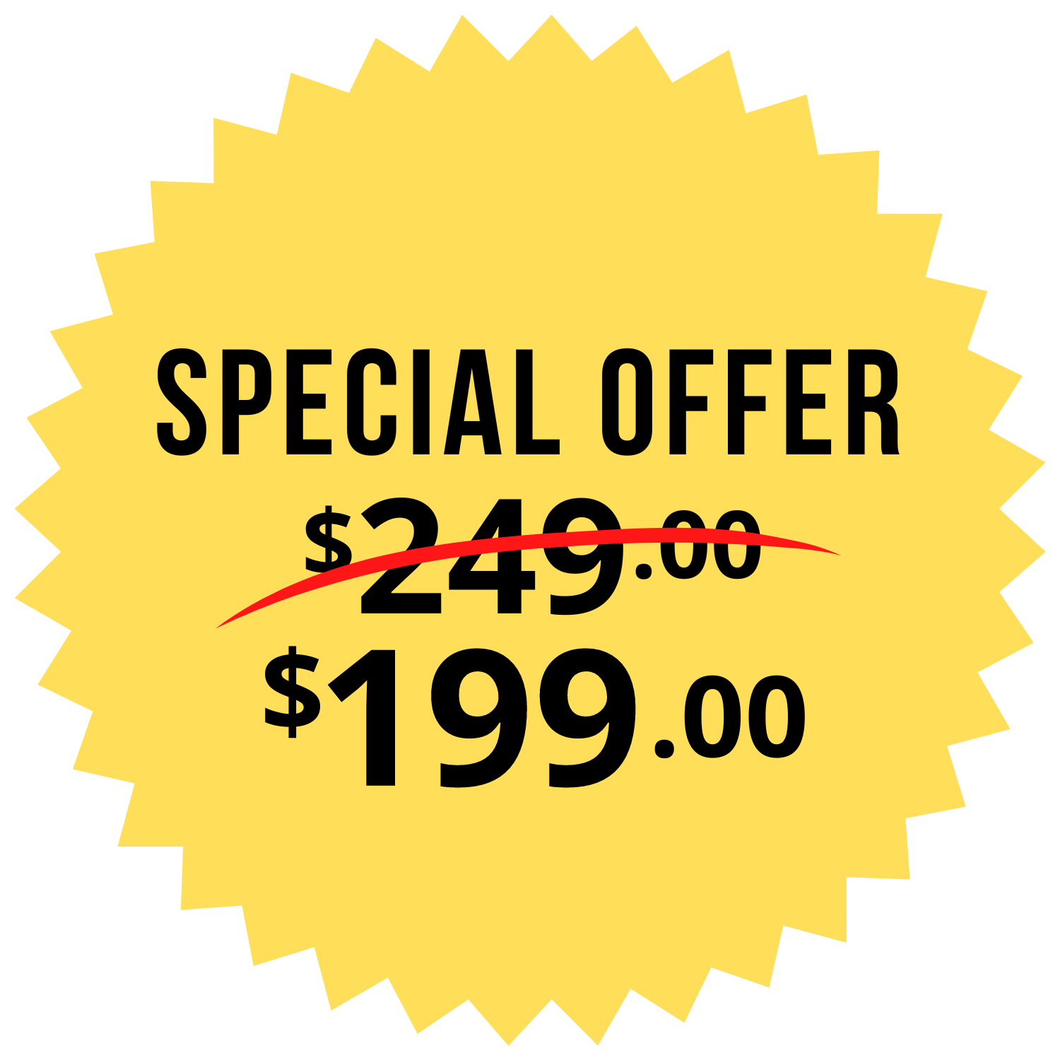 Special Offer: Course on sale for $199